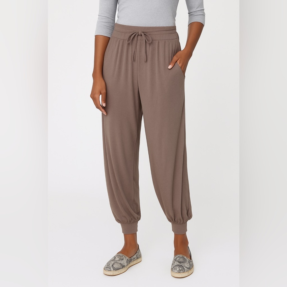 AnyBody Cozy Knit Jogger Pants W/ Drawstring Taupe Size ST Small/Tall